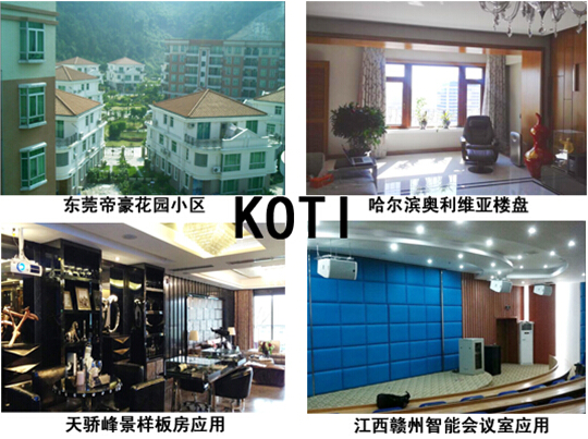 KOTI成功项目案例展示(部分)